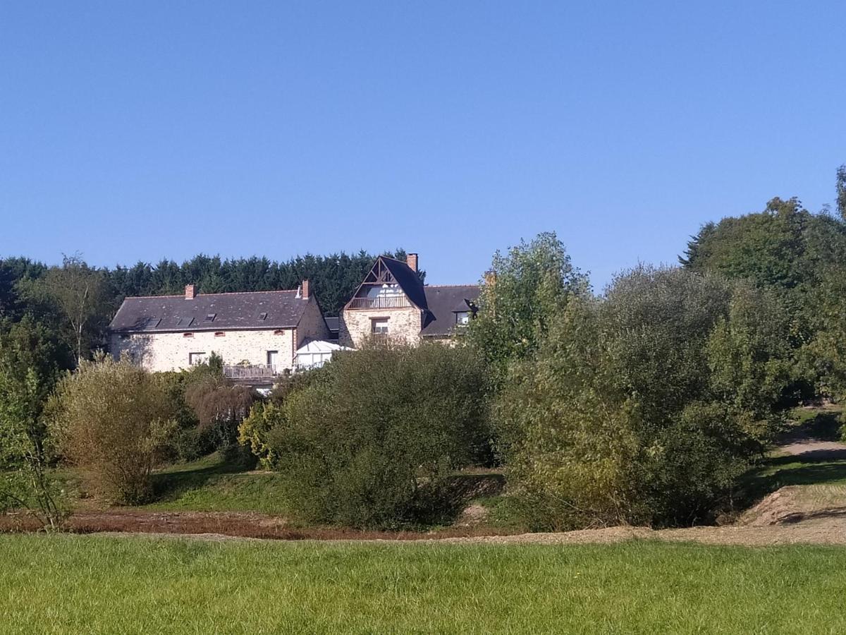 Gite La Pironniere - Piscine, Nature, Au Bord De La Riviere Montreuil-sur-Maine Exterior photo